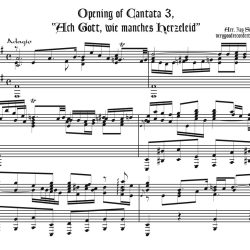 Opening ritornel from Cantata 3, <i>Ach Gott, wie manches Herzeleid</i>